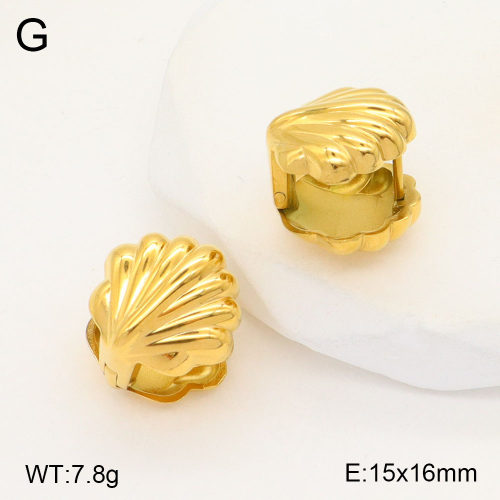 2E2005563bhva-770  Stainless Steel Earrings