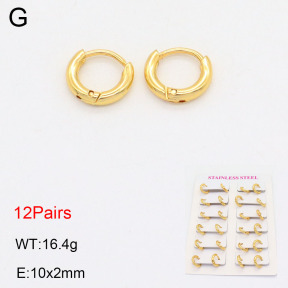 2E2005564vhlm-446  Stainless Steel Earrings