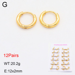 2E2005565vhlm-446  Stainless Steel Earrings
