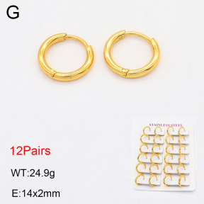 2E2005566vhlm-446  Stainless Steel Earrings