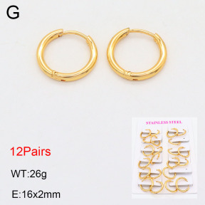 2E2005567vhov-446  Stainless Steel Earrings