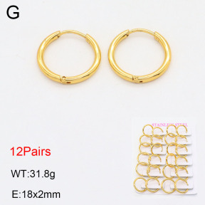 2E2005568vhov-446  Stainless Steel Earrings