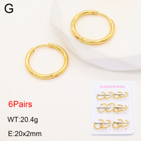 2E2005569bhbo-446  Stainless Steel Earrings