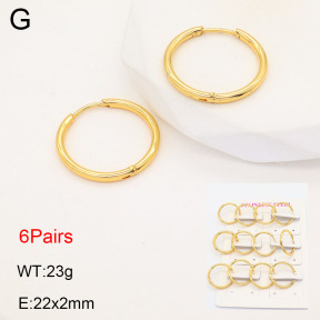 2E2005570bhbo-446  Stainless Steel Earrings