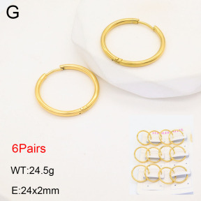 2E2005571bhia-446  Stainless Steel Earrings