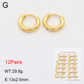 2E2005572vhlm-446  Stainless Steel Earrings