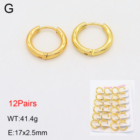 2E2005574vhov-446  Stainless Steel Earrings