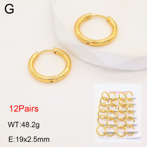 2E2005575vhov-446  Stainless Steel Earrings