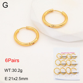 2E2005576bhbo-446  Stainless Steel Earrings