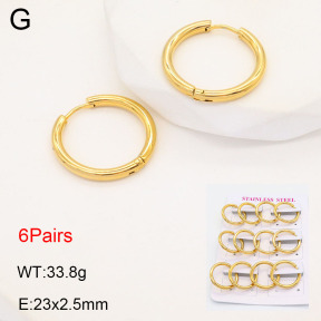 2E2005577bhia-446  Stainless Steel Earrings