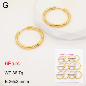 2E2005578bhjo-446  Stainless Steel Earrings