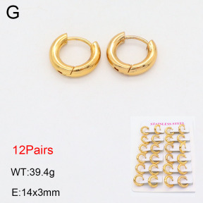2E2005579vhlm-446  Stainless Steel Earrings