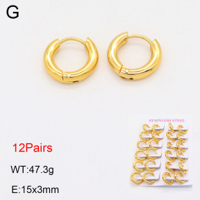 2E2005580vhlm-446  Stainless Steel Earrings