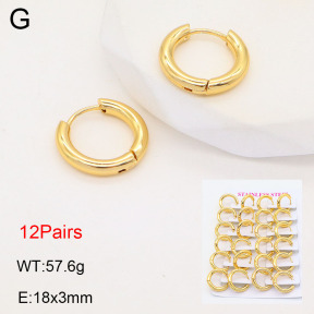 2E2005581vhov-446  Stainless Steel Earrings