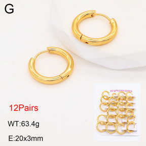 2E2005582vhov-446  Stainless Steel Earrings