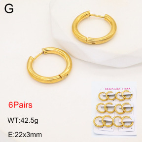 2E2005583bhbo-446  Stainless Steel Earrings