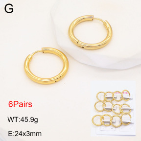 2E2005584bhbo-446  Stainless Steel Earrings