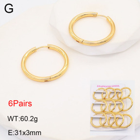 2E2005586bhjo-446  Stainless Steel Earrings