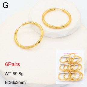 2E2005587vhpo-446  Stainless Steel Earrings