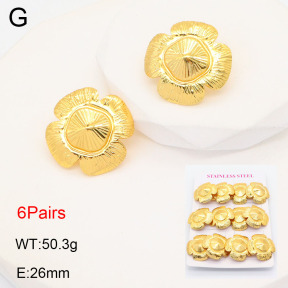 2E2005592vhmo-446  Stainless Steel Earrings