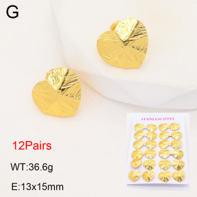 2E2005597ajjm-446  Stainless Steel Earrings