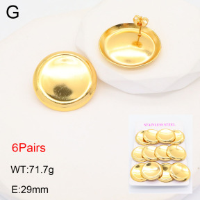 2E2005600vhmo-446  Stainless Steel Earrings