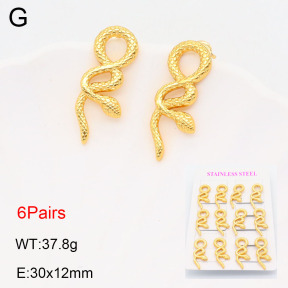 2E2005605vhmo-446  Stainless Steel Earrings