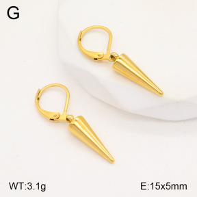 2E2005611vail-420  Stainless Steel Earrings