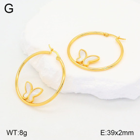 2E3003189baka-446  Stainless Steel Earrings