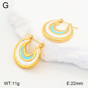 2E3003191aakl-446  Stainless Steel Earrings