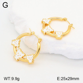 2E3003192aakl-446  Stainless Steel Earrings