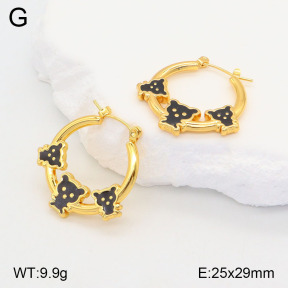 2E3003193aakl-446  Stainless Steel Earrings