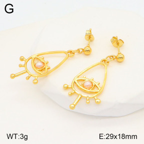 2E3003195baka-446  Stainless Steel Earrings