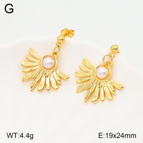 2E3003196baka-446  Stainless Steel Earrings