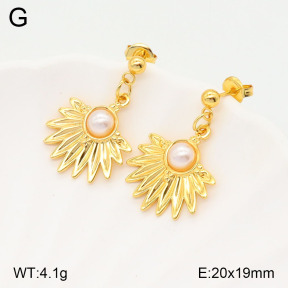 2E3003197baka-446  Stainless Steel Earrings