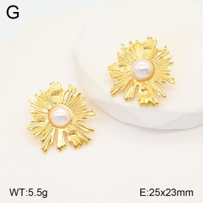 2E3003199aajo-446  Stainless Steel Earrings