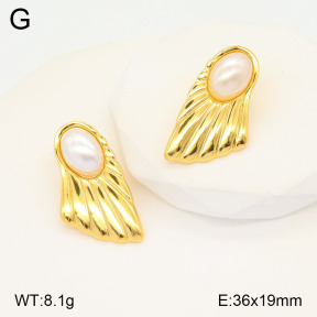 2E3003200aajo-446  Stainless Steel Earrings
