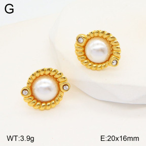 2E3003201baka-446  Stainless Steel Earrings
