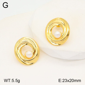 2E3003202aajo-446  Stainless Steel Earrings
