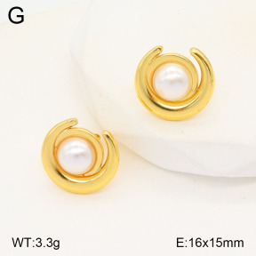 2E3003203aajo-446  Stainless Steel Earrings