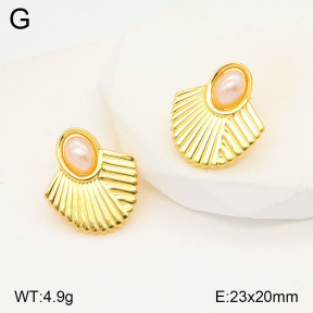 2E3003204aajo-446  Stainless Steel Earrings