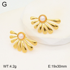 2E3003205aajo-446  Stainless Steel Earrings