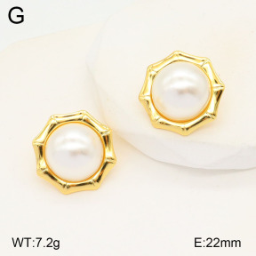 2E3003206aajo-446  Stainless Steel Earrings