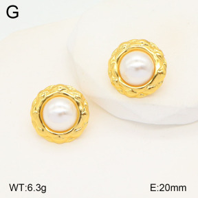 2E3003207aajo-446  Stainless Steel Earrings
