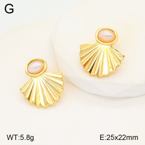 2E3003208aajo-446  Stainless Steel Earrings