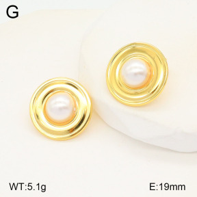 2E3003210aajo-446  Stainless Steel Earrings
