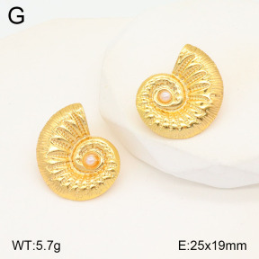 2E3003211aajo-446  Stainless Steel Earrings