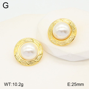 2E3003212aajo-446  Stainless Steel Earrings