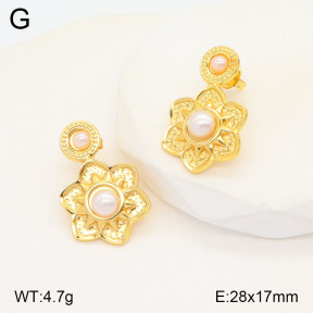 2E3003213baka-446  Stainless Steel Earrings