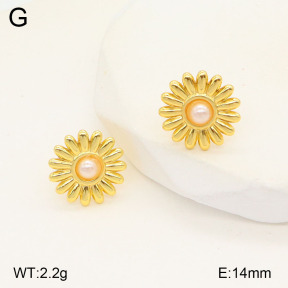2E3003214aajo-446  Stainless Steel Earrings
